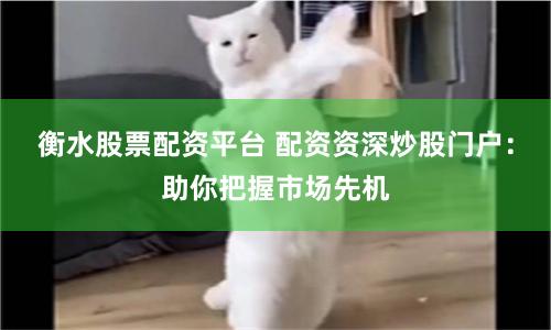 衡水股票配资平台 配资资深炒股门户：助你把握市场先机