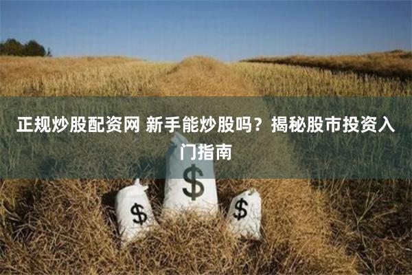 正规炒股配资网 新手能炒股吗？揭秘股市投资入门指南