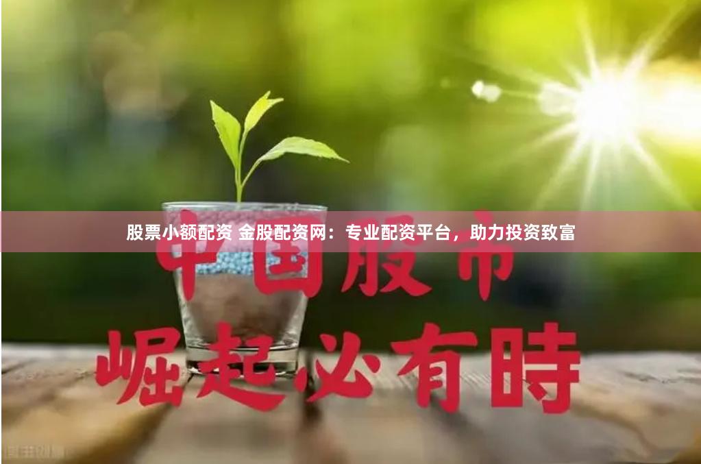 股票小额配资 金股配资网：专业配资平台，助力投资致富