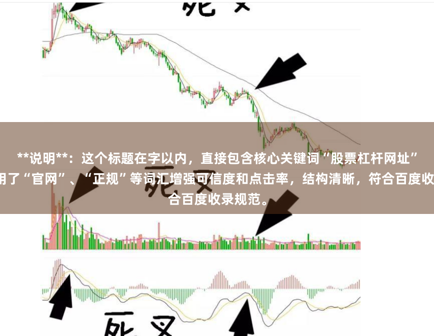 **说明**：这个标题在字以内，直接包含核心关键词“股票杠杆网址”，并使用了“官网”、“正规”等词汇增强可信度和点击率，结构清晰，符合百度收录规范。