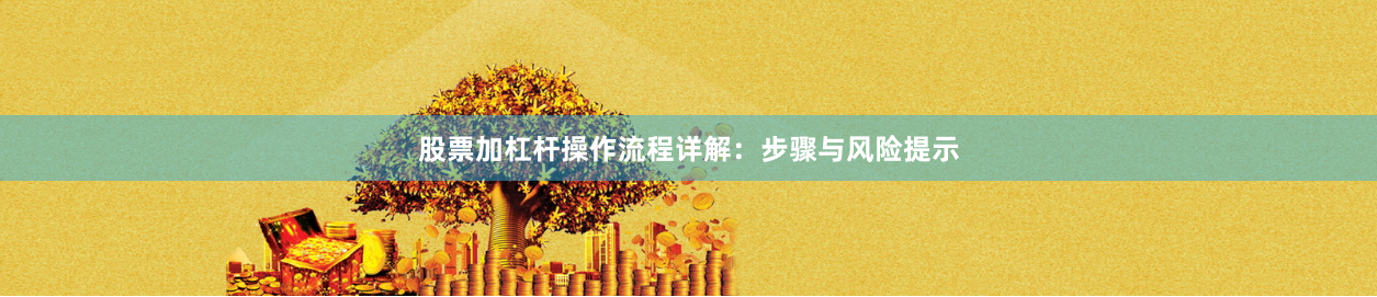 股票加杠杆操作流程详解：步骤与风险提示