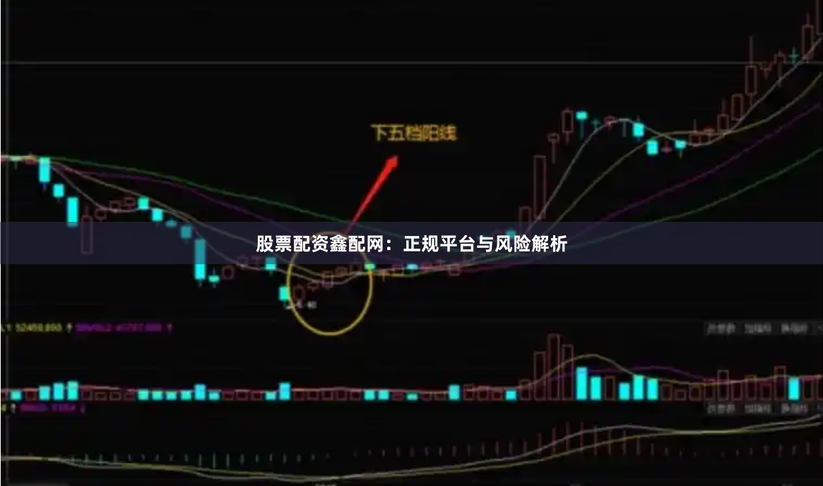 股票配资鑫配网：正规平台与风险解析